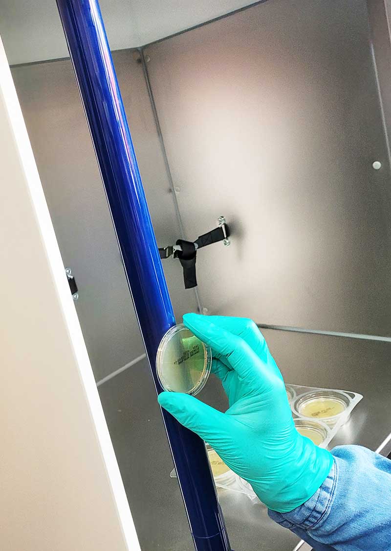 Efficacy testing HP Labortechnik_DCXPlus Efficacy testing HP Labortechnik